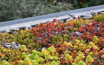 the cost of Great Pattenden green roof installation