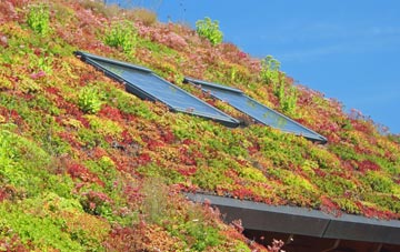 Great Pattenden living roof systems