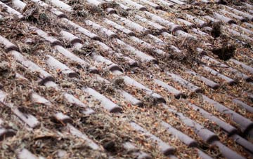 Great Pattenden roof cleaning companies